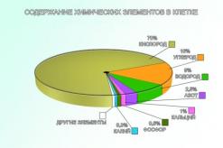 Химический состав клетки