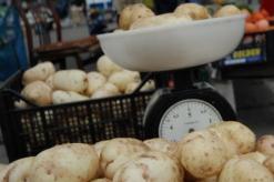 Сравнительный анализ урожайности картофеля в россии и в мире